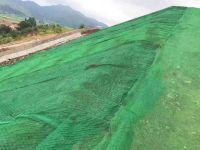 2325663_1599528868.jpg 2325663_1599528868.jpg