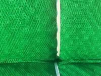 2325404_1599528363.jpg 2325404_1599528363.jpg