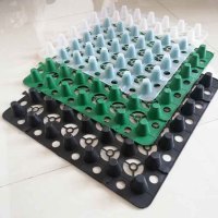 2325157_1599527728.jpg 2325157_1599527728.jpg