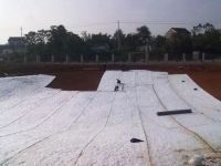 2325200_1599527916.jpg 2325200_1599527916.jpg